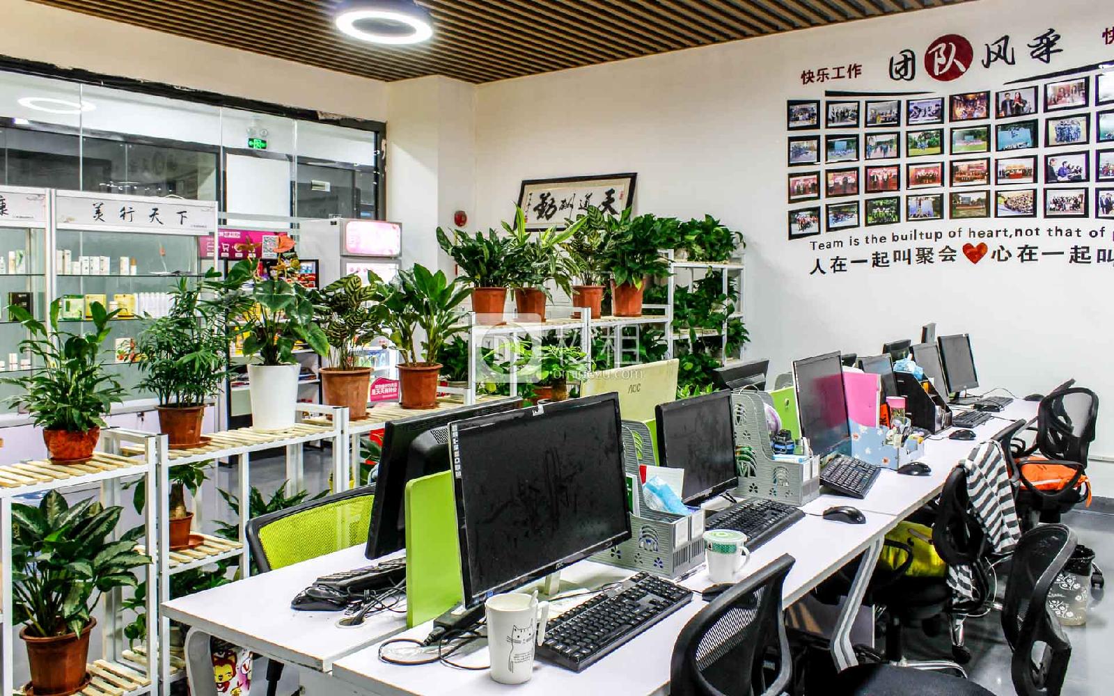 金禾田商务中心（一期）写字楼出租232平米精装办公室58元/m².月