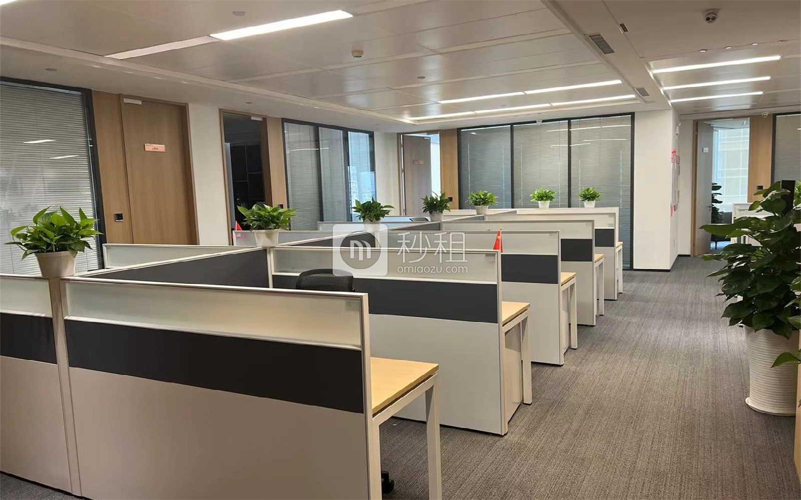 东海国际中心写字楼出租895.44平米精装办公室250元/m².月