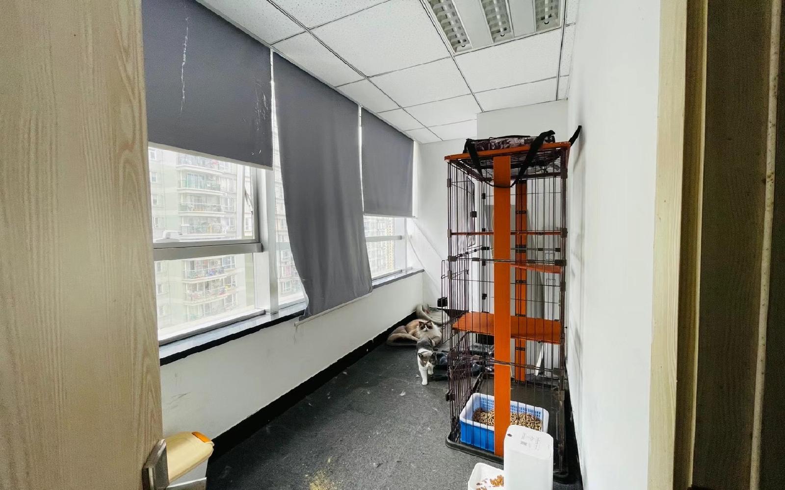 西海明珠大厦写字楼出租225平米精装办公室90元/m².月