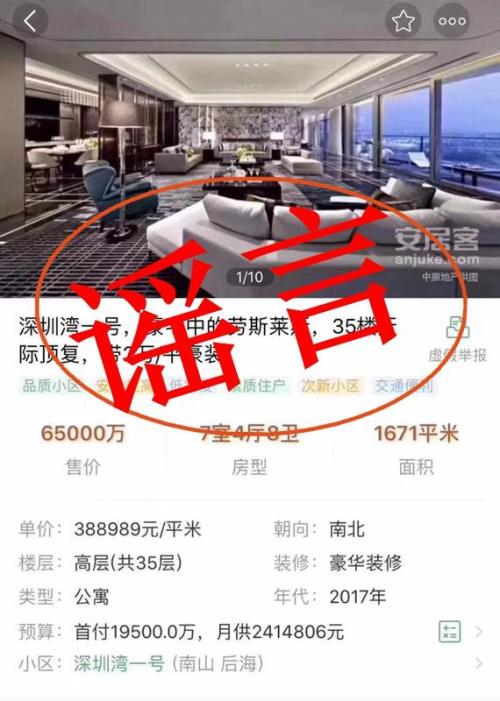 规土委辟谣：网传深圳湾1号6.5亿豪宅是假消息！