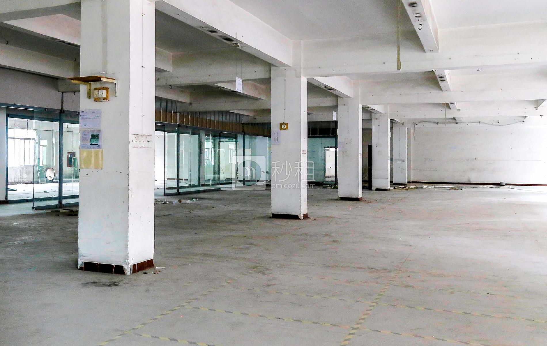 龙胜科技电商园写字楼出租302平米简装办公室23元/m².月