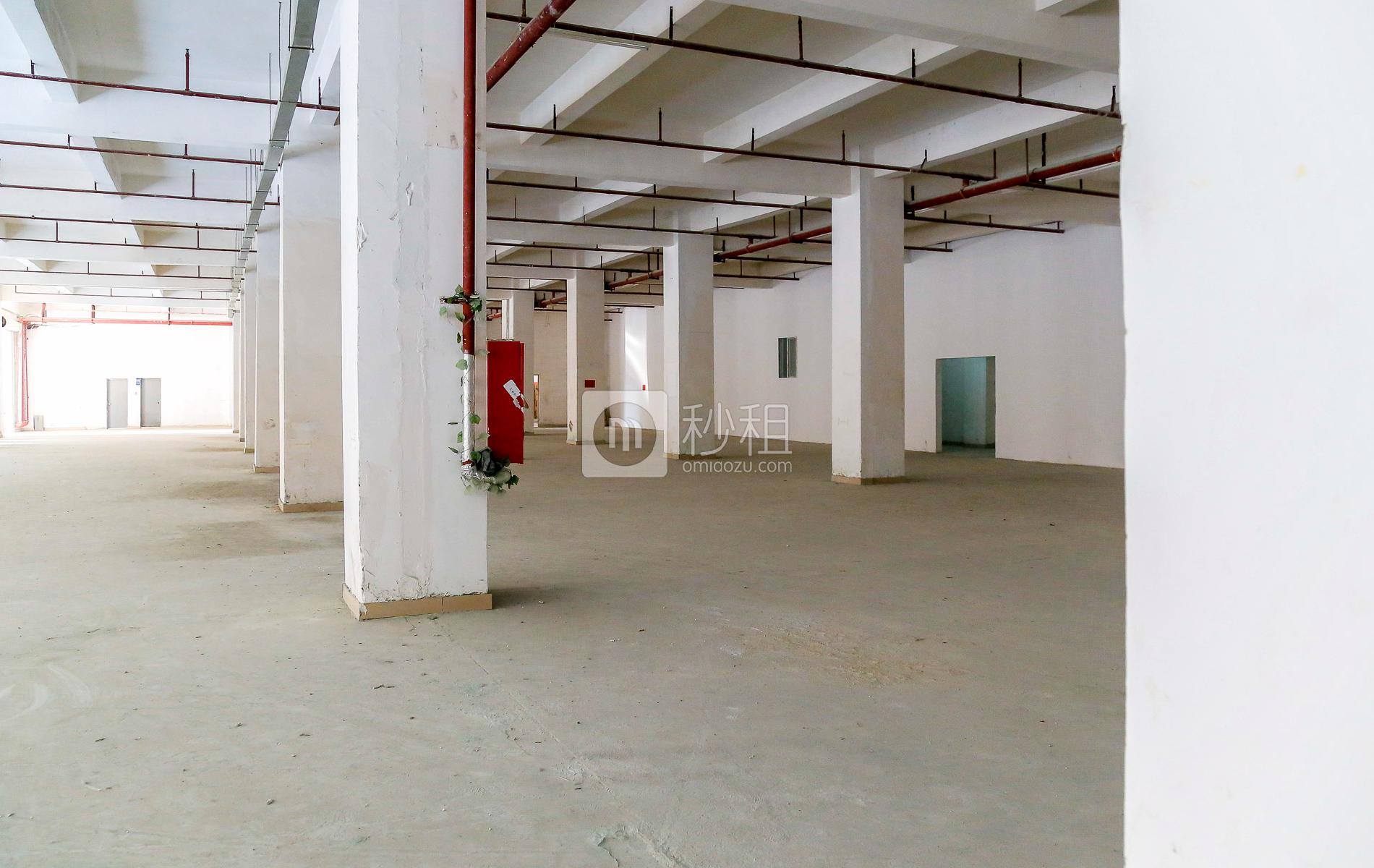 伟丰互联网+创业园写字楼出租260平米毛坯办公室33元/m².月